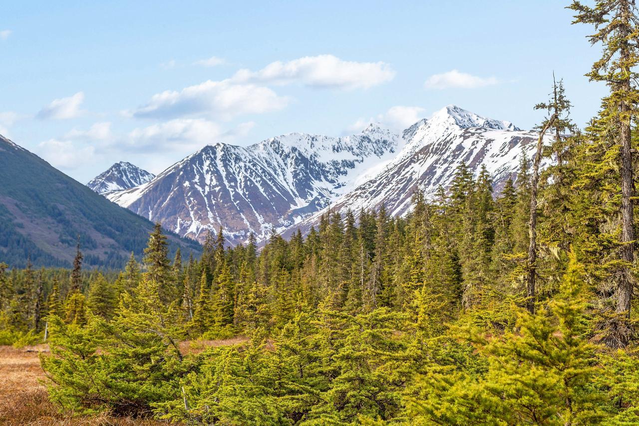 Brighton Condo #208 Girdwood Ngoại thất bức ảnh