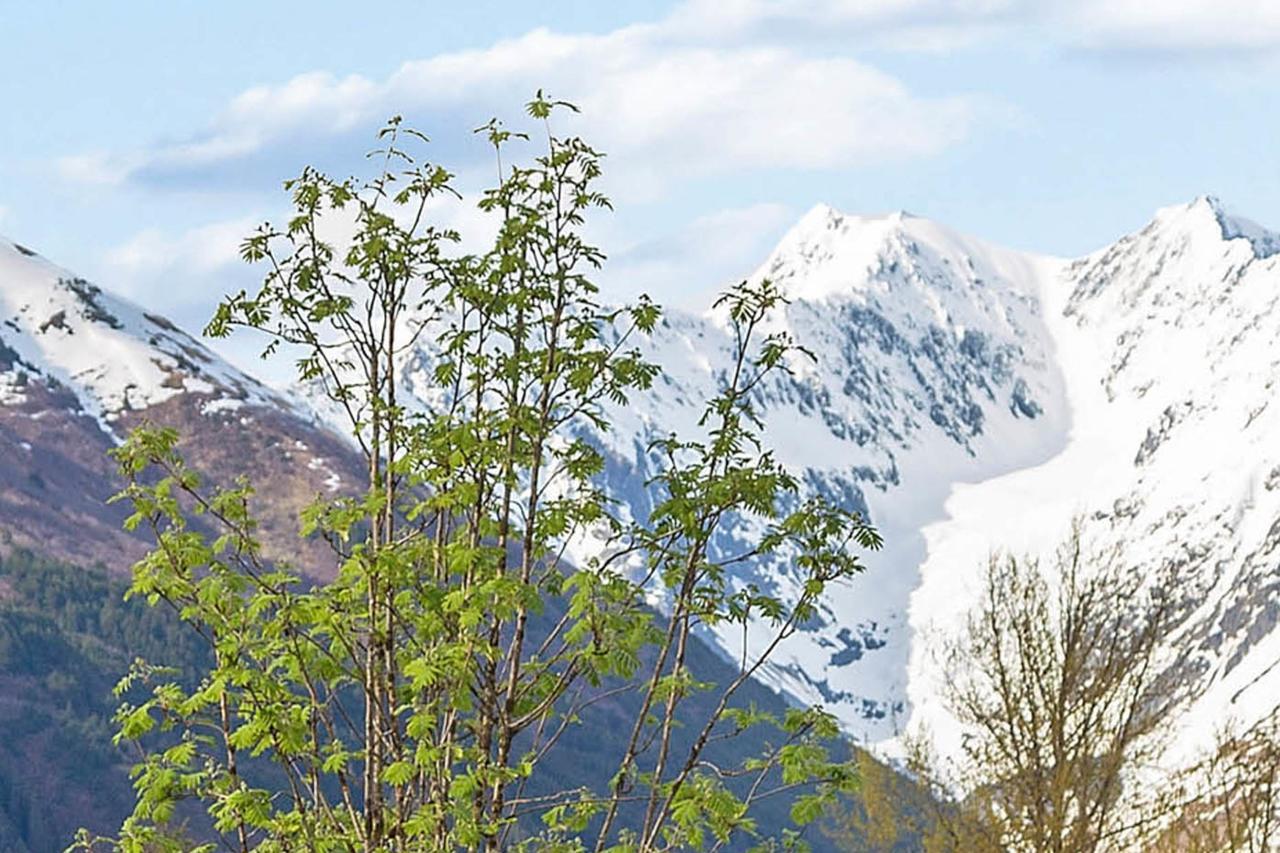 Brighton Condo #208 Girdwood Ngoại thất bức ảnh
